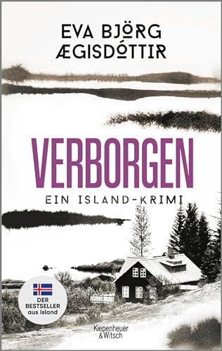 Verborgen: Ein Island-Krimi