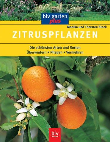 Zitruspflanzen