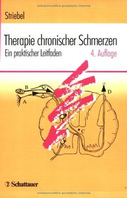 Therapie chronischer Schmerzen: Ein praktischer Leitfaden