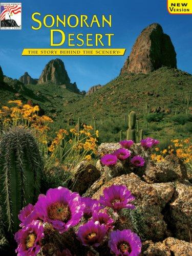 Sonoran Desert: The Story Behind the Scenery