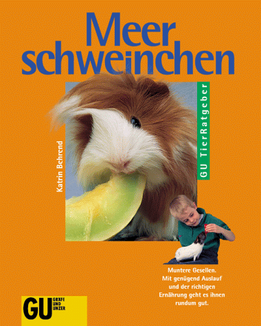 Meerschweinchen