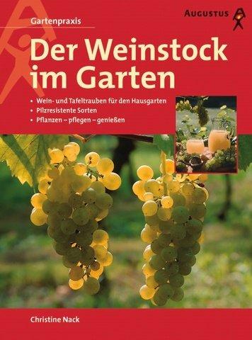 Der Weinstock im Garten