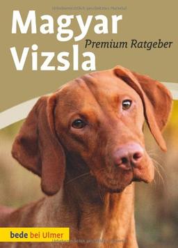 Magyar Vizsla