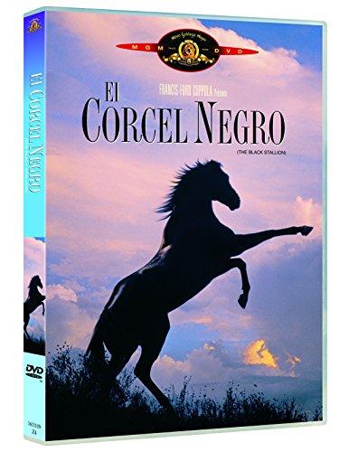 El Corcel Negro (Import Dvd) (2003) Mickey Rooney; Kelly Reno; Teri Garr; Clar