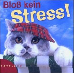 Bloß kein Stress