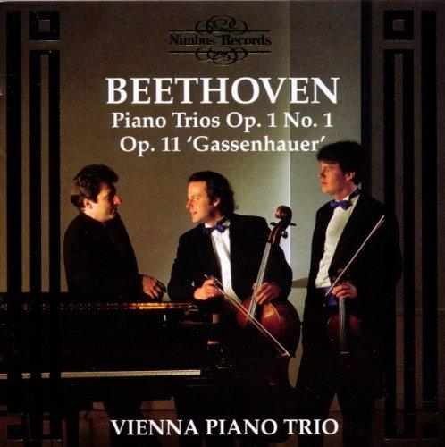 Beethoven Klaviertrio Vienna Piano