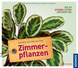 Soforthelfer Zimmerpflanzen