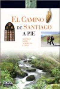 Camino de Santiago a pie, el (Rutas A Pie)