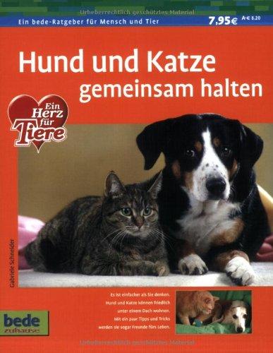 Hund und Katze gemeinsam halten zu Hause