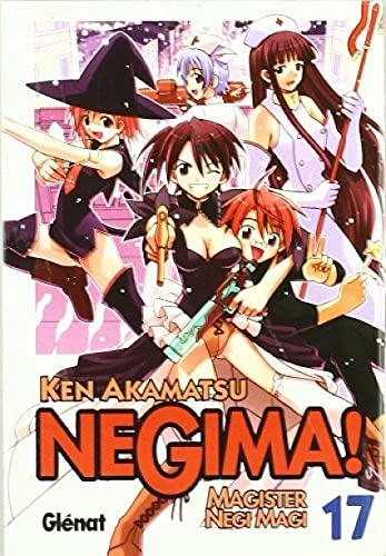 Negima! Magister Negi Magi 17 (Shonen Manga)