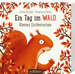 Ein Tag im Wald: Kleines Eichhörnchen: Erstes Pappbilderbuch zum Bilderbuchbeststeller "Ein Jahr im Wald" für Kinder ab 18 Monaten