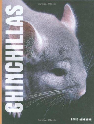 Chinchillas