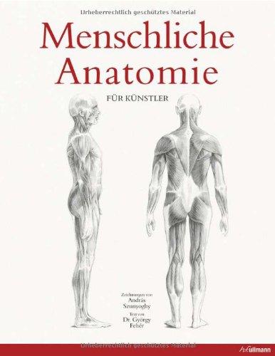 Menschliche Anatomie für Künstler