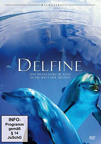 Delfine