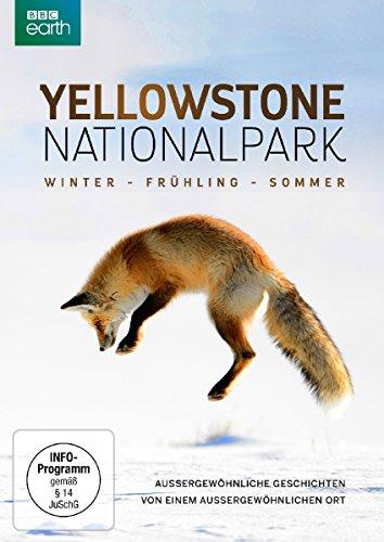 Yellowstone Nationalpark: Winter - Frühling - Sommer