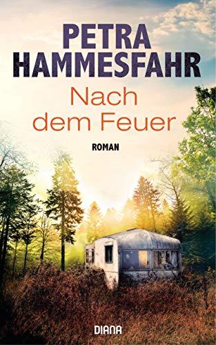 Nach dem Feuer: Roman