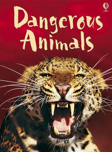 Dangerous Animals (Usborne Beginners)