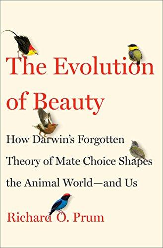 The Evolution of Beauty: How Darwin's Forgotten Theory of Mate Choice Shapes the Animal World - and Us