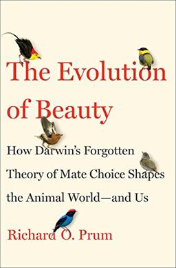 The Evolution of Beauty: How Darwin's Forgotten Theory of Mate Choice Shapes the Animal World - and Us