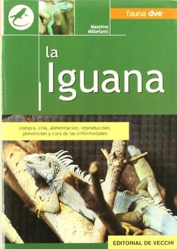 La iguana (Animales)