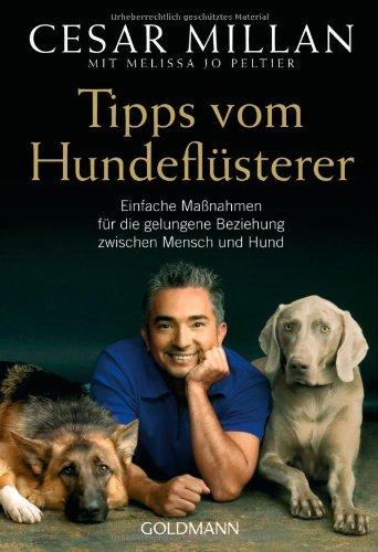 Tipps vom Hundeflüsterer: Einfache Maßnahmen für die gelungene Beziehung zwischen Mensch und Hund