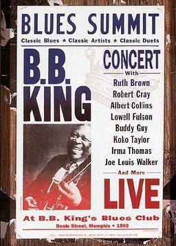 B.B. King - Blues Summit Concert