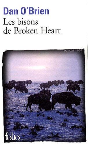 Les bisons de Broken Heart