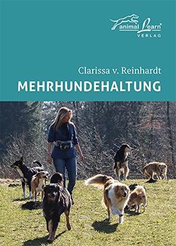 Mehrhundehaltung