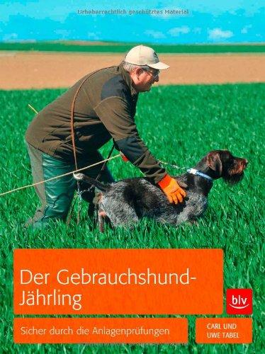 Der Gebrauchshund-Jährling: Sicher durch die Jugendprüfungen