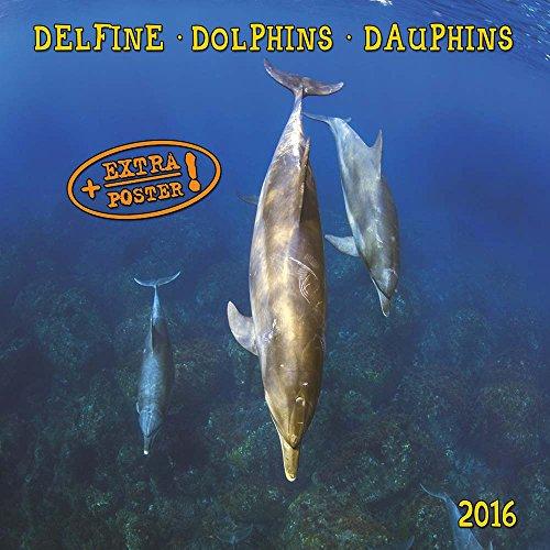 Dolphins/Delfine 2024: Kalender 2024 (Artwork Edition)