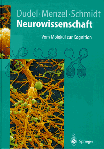 Neurowissenschaft: Vom Molekül zur Kognition (Springer-Lehrbuch)