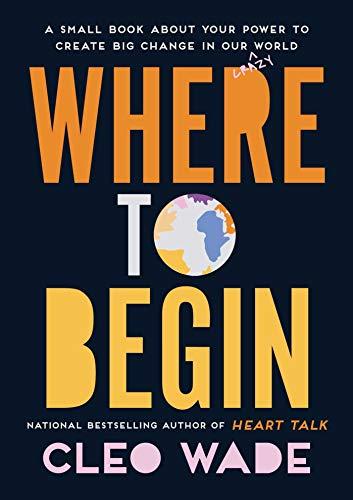 Where to Begin: A Small Book About Your Power to Create Big Change in Our Crazy World