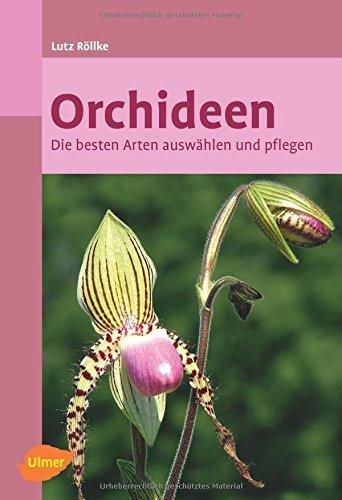 Orchideen: Die besten Arten auswählen und pflegen