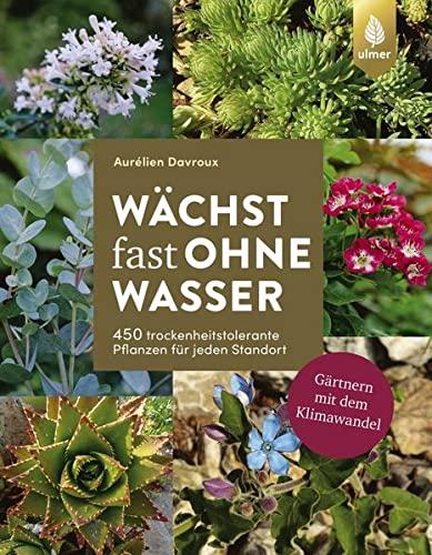 Wächst fast ohne Wasser: 450 trockenheitstolerante Pflanzen für jeden Standort. Gärtnern mit dem Klimawandel