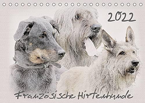 Französische Hirtenhunde 2022 (Tischkalender 2022 DIN A5 quer)