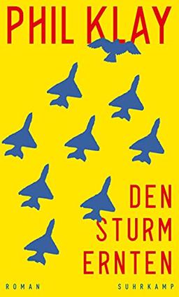 Den Sturm ernten: Roman