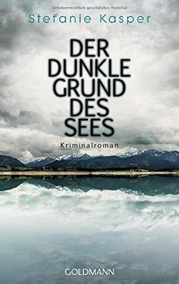 Der dunkle Grund des Sees: Kriminalroman