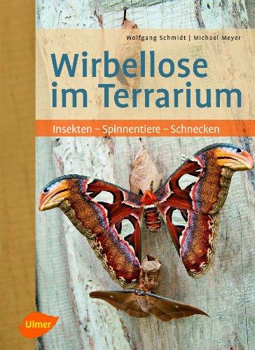 Wirbellose im Terrarium: Insekten - Spinnentiere - Schnecken