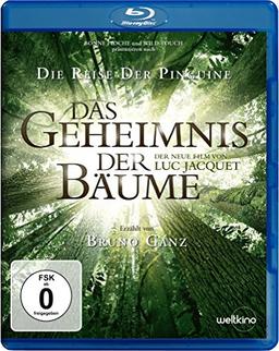 Das Geheimnis der Bäume [Blu-ray]