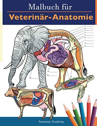 Malbuch für Veterinär-Anatomie: Tierphysiologie-Selbstquiz Arbeitsbuch zum Lernen und Entspannen | Perfektes Geschenk für Tiermedizin-Studenten und sogar Erwachsene