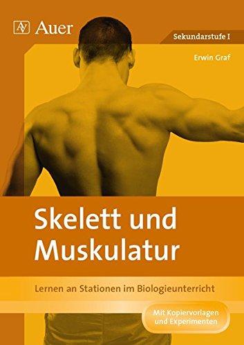 Skelett und Muskulatur: Lernen an Stationen im Biologieunterricht (5. und 6. Klasse) (Lernen an Stationen Biologie Sekundarstufe)