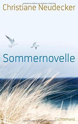 Sommernovelle