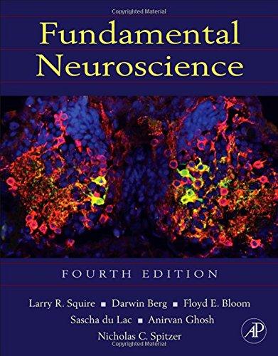 Fundamental Neuroscience