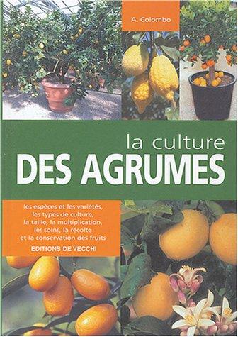 La culture des agrumes