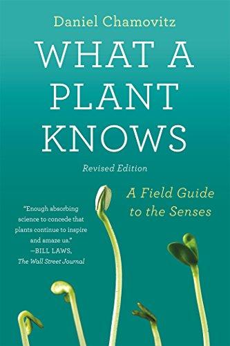 What a Plant Knows: A Field Guide to the Senses: Updated and Expanded Edition