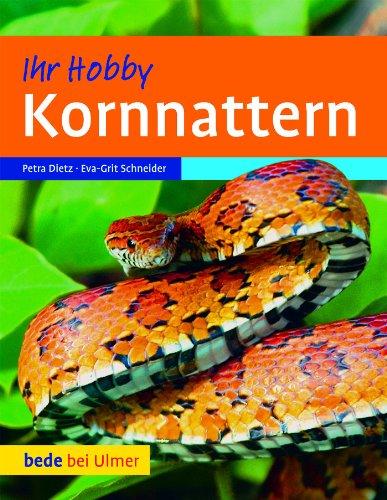 Kornnattern