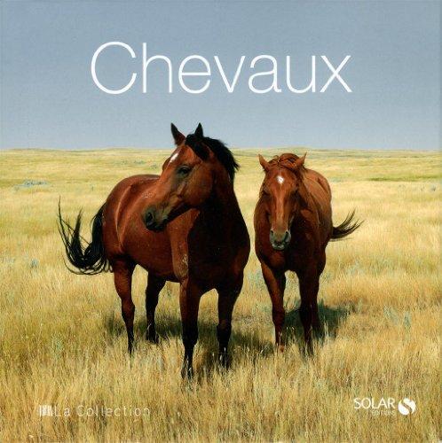 Chevaux