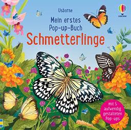 Mein erstes Pop-up-Buch: Schmetterlinge: mit 5 detailreichen Pop-up-Szenen (Meine ersten Pop-up-Bücher)