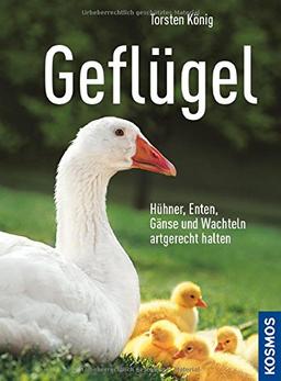 Geflügel: Hühner, Enten, Gänse und Wachteln artgerecht halten