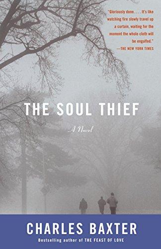 The Soul Thief (Vintage Contemporaries)